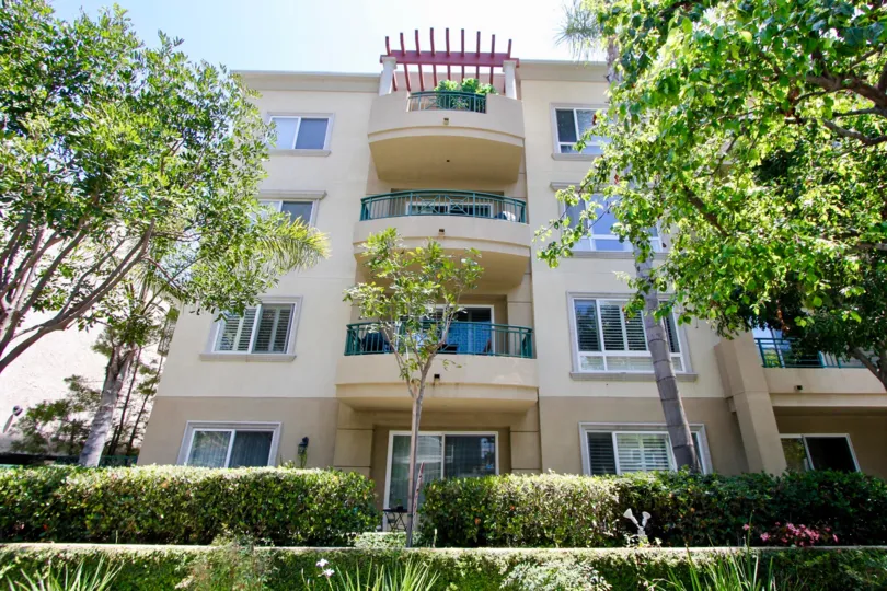 THE TREES TAKE PLASE IN THE FRONT OF THE APPARTMENT. ITS VERY BEAUTIFUL SCENORY.