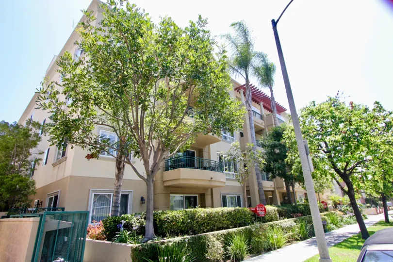THE TREES TAKE PLACE IN THE FRONT OF THE APARTMENT. ITS VERY BEAUTIFUL SCENORY.