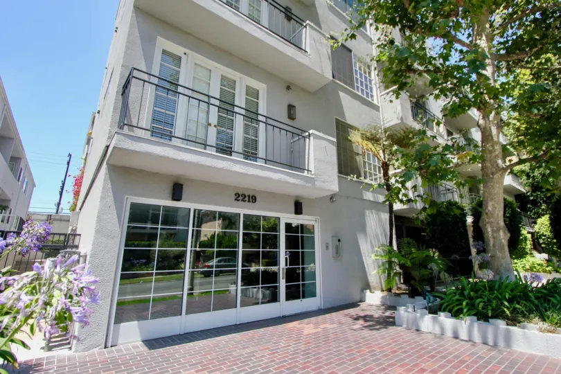 THE TREES TAKE PLACE IN THE FRONT OF THE APARTMENT. ITS VERY BEAUTIFUL PLACE.