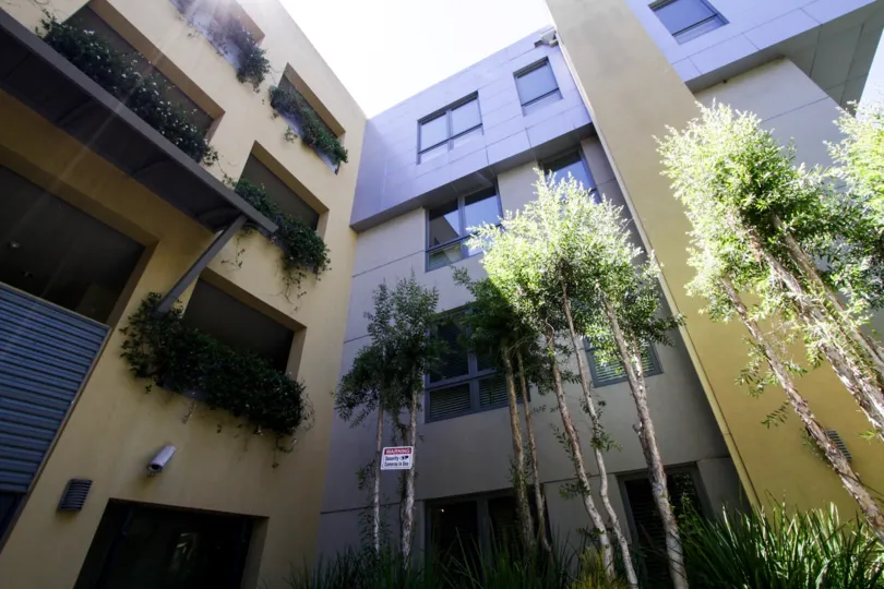 The trees outside of Bentley Place