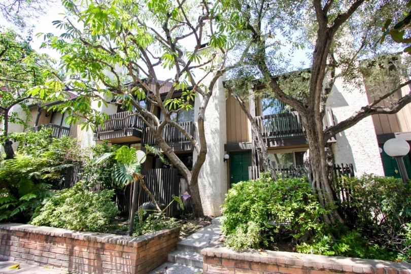 A sunny day in the Bentley Village with beautiful apartment and a big tree infrond of the apartment.