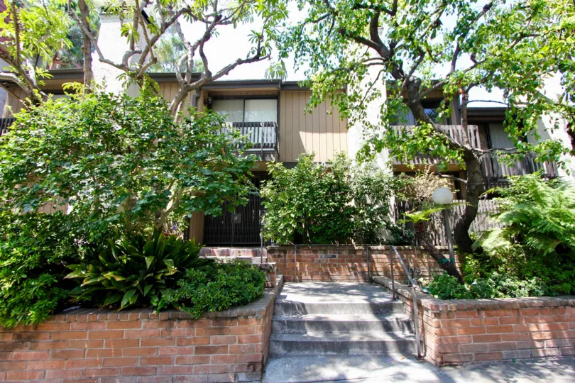 A sunny day in the Bentley Village with beautiful apartment and a big tree infrond of the apartment.
