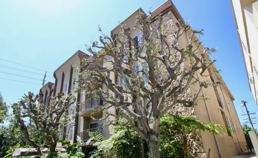 Classy and naturally amazing view of Bentley West, Westwood, California
