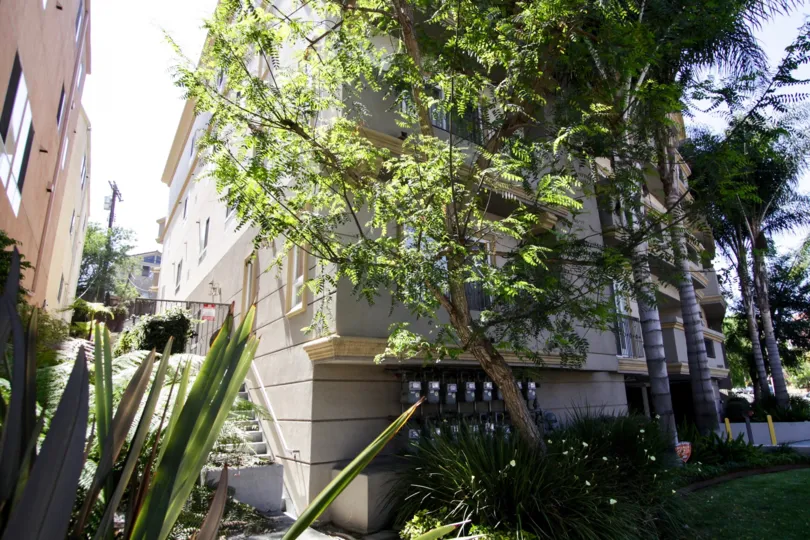 The landscaping seen at the Beverly Elegance