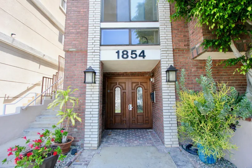 Front door hiding from the sun surrounded by beautiful green plants.