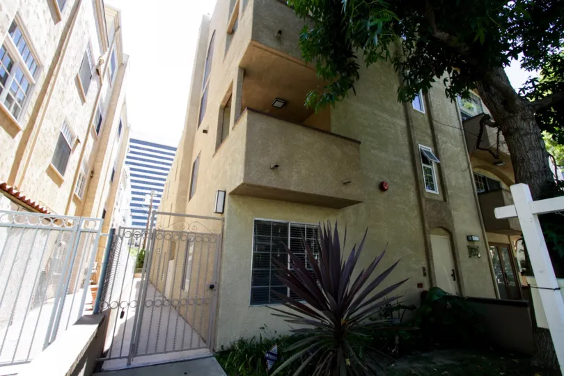 The side entrance into Camwood