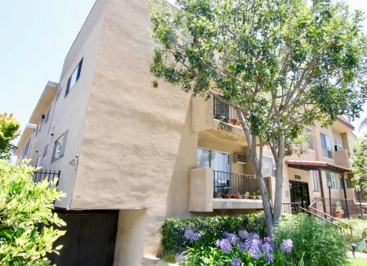 Creamy walls of Camden II and her amazing flowers and trees, Westwood, California