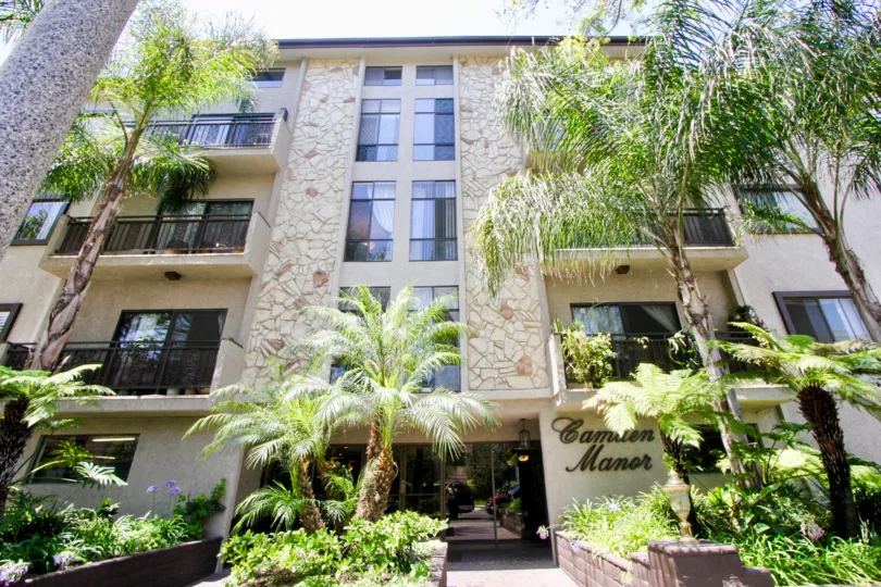 An extra-ordinary outlook with trees along with the building excellence at Camden Manor.