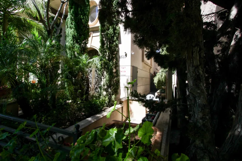 The landscaping around Camden Village