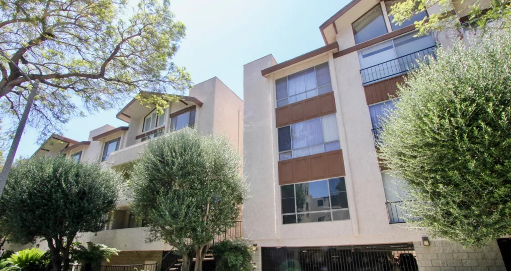 A sunny day in the Camden West with beautiful apartment and a big tree infrond of the apartment.