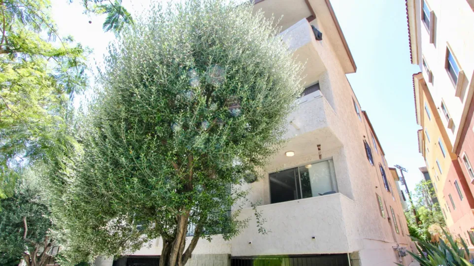Camden West, westwood, California is A beautiful sky high well construct building which have elegant colour and shiny bright glass windows. Lots of green trees enhance its beauty. A sunny bright day give it an amazing look.