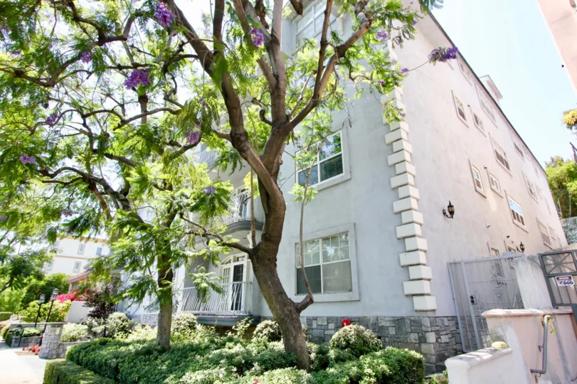 THE TREES TAKE PLASE IN THE FRONT OF THE APPARTMENT. ITS VERY BEAUTIFUL SCENORY.