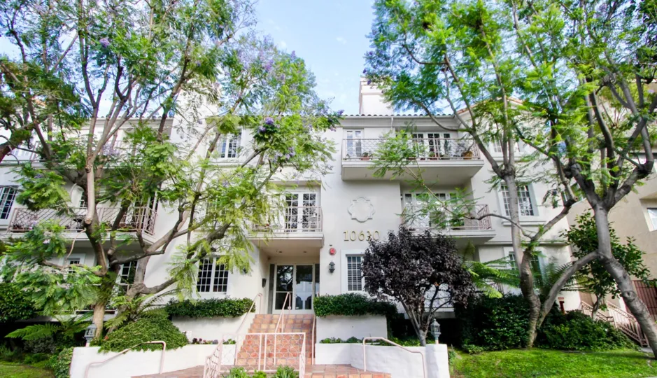 A beautiful house in Eastborne Regency. The house is surrounded by many plants and trees