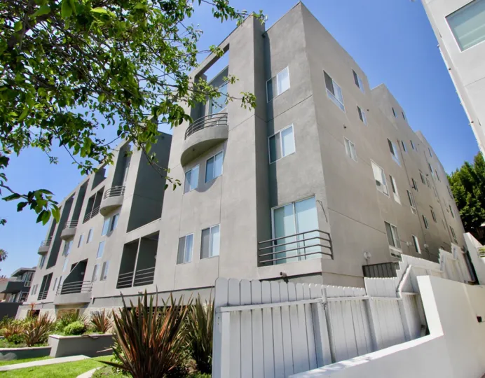 A sunny day in the Glen Terrace with beautiful apartment and a big tree infrond of the apartment.