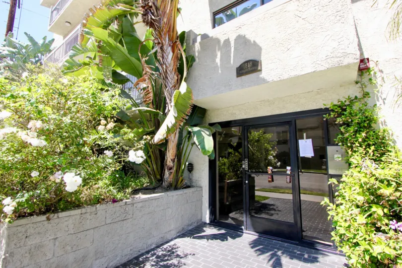 THE TREES TAKE PLACE IN THE FRONT OF THE APARTMENT. ITS LOOKS NICE.