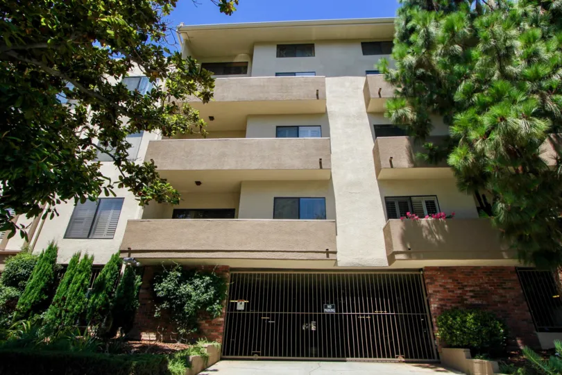 Glendon Monica's very own paradise, Westwood, California