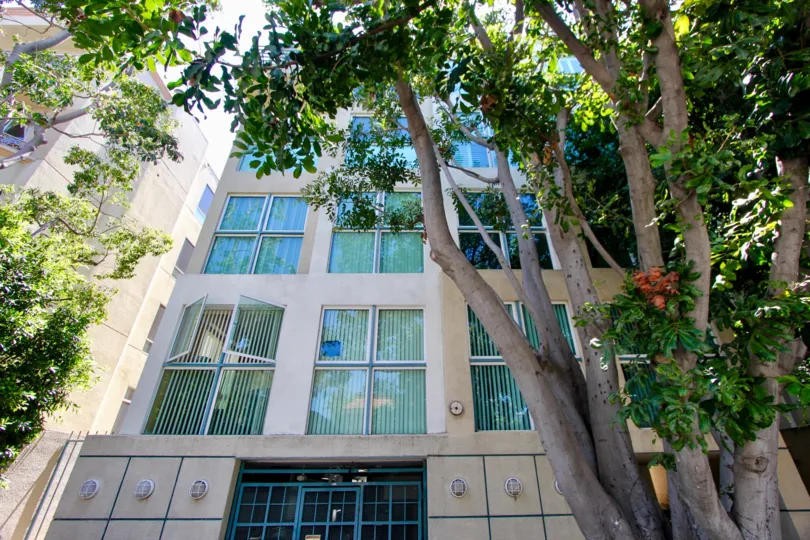 A sunny day the Glendon Plaza the windows are looking so good and well furnished big trees are near the plaza