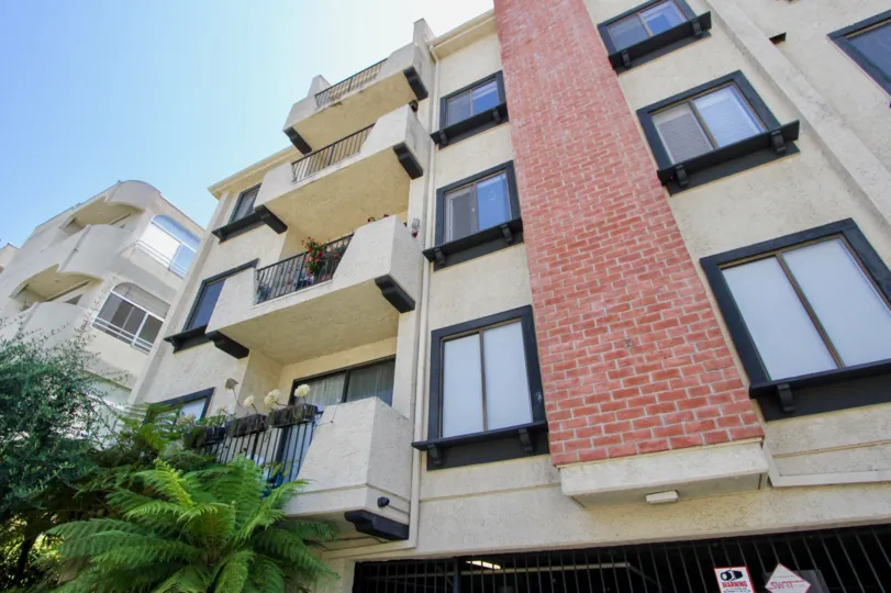 A sunny day in the Glendon Terrace II with beautiful apartment and a big tree infrond of the apartment.