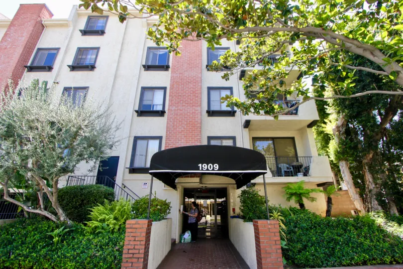 THE TREES TAKE PLACE IN THE FRONT OF THE APARTMENT. ITS VERY BEAUTIFUL.