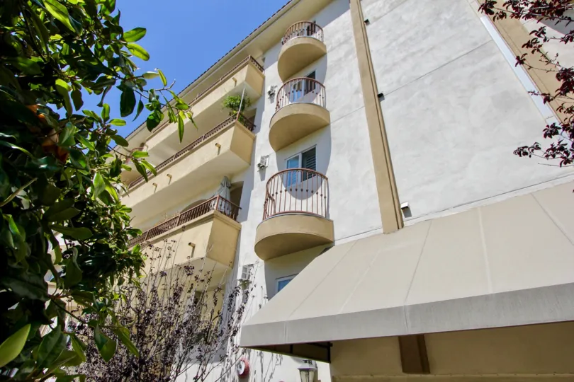 A sunny day in the Glendon Terrace with beautiful apartment and a big tree infrond of the apartment.