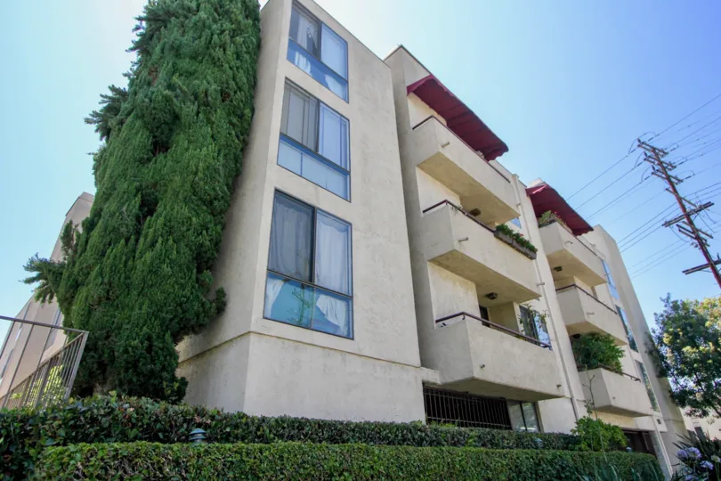 A sunny day in the Glendon Villas with beautiful apartment and a big tree infrond of the apartment.
