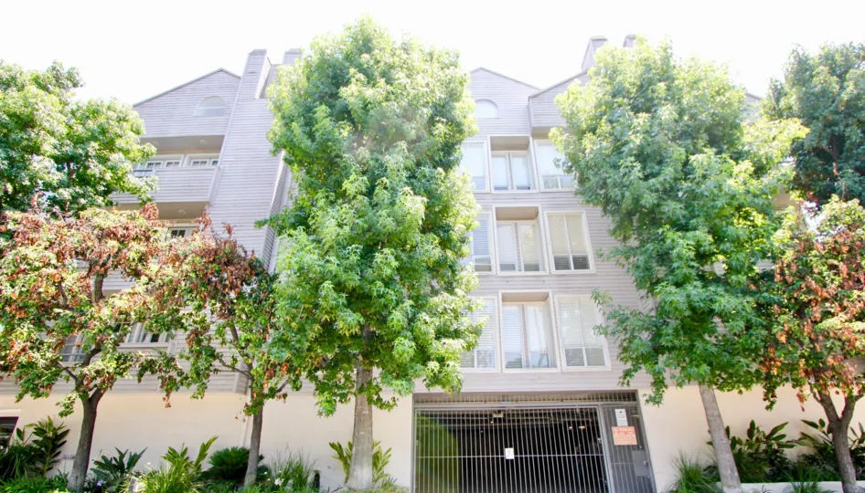 THE TREES TAKE PLACE IN THE FRONT OF THE APARTMENT. ITS VERY BEAUTIFUL SCENORY.