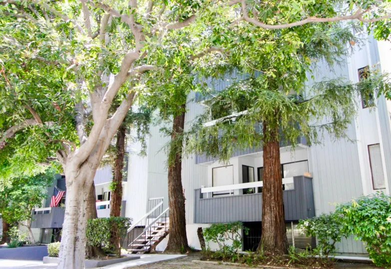 A APARTMENT IS GREENCOURT WEST IT IS VERY NICE AND IN FRONT OF TREES IS WONDERFUL VIEW