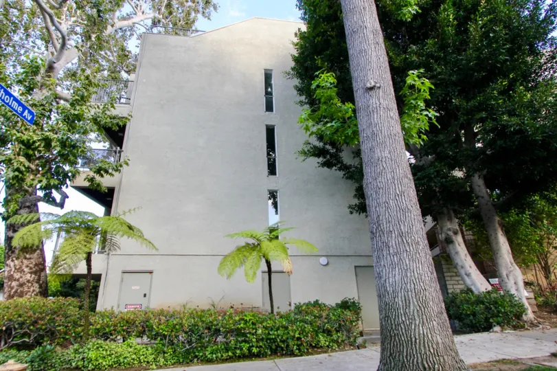 Holland House is very large and near the bulding a huge tree is here