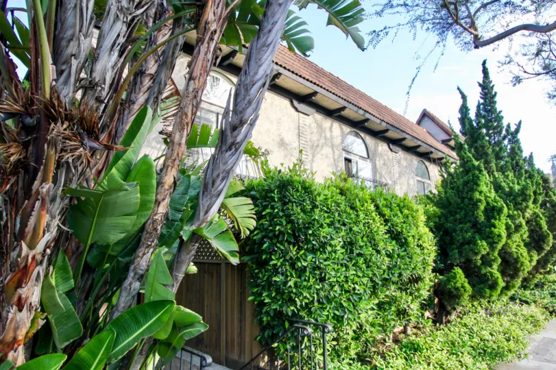 THE TREES TAKE PLACE IN THE FRONT OF THE APARTMENT. ITS VERY BEAUTIFUL.