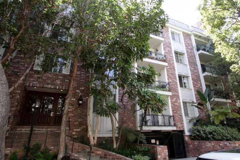 The trees around Kelton Place located in Westwood