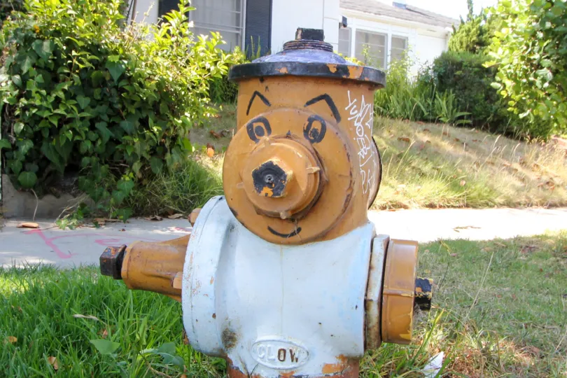 a funny hydrant with a face in front of a house in kinnard village