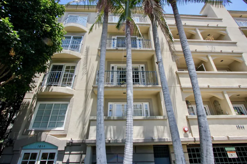 Kinnard villas have four floors and terrace. In the outside of the villas coconut trees are planted
