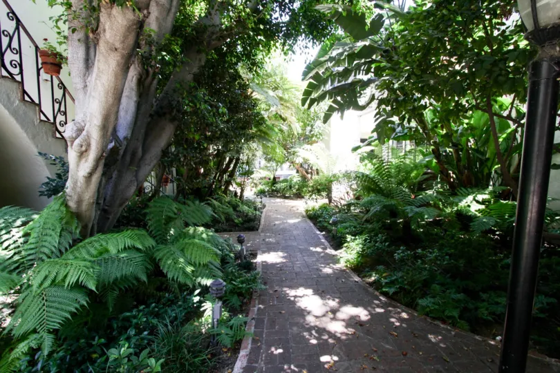 The walkway through Lindbrook Village of Westwood