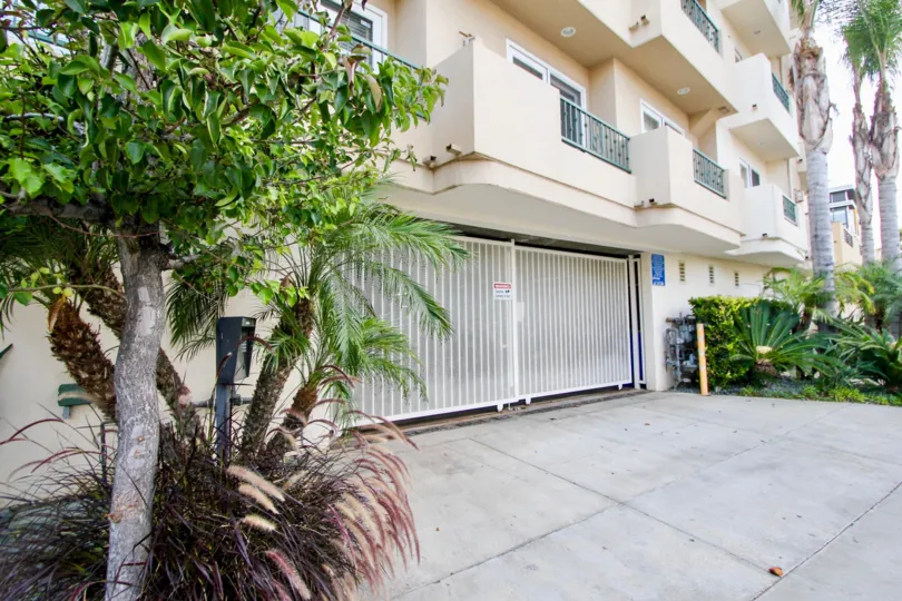 A sunny day in the Louisiana Heights with beautiful apartment and a big tree infrond of the apartment.