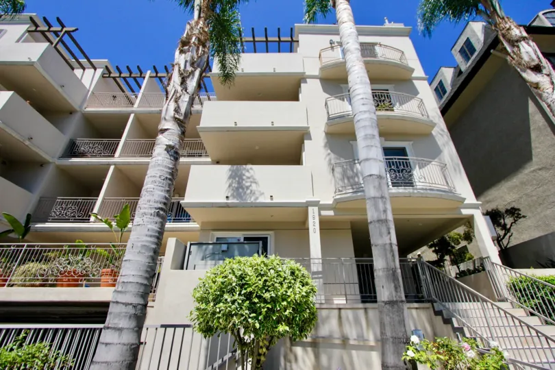 A sunny day at The Malcolm Avenue Condos, a off white building with palm trees and iron terraces.
