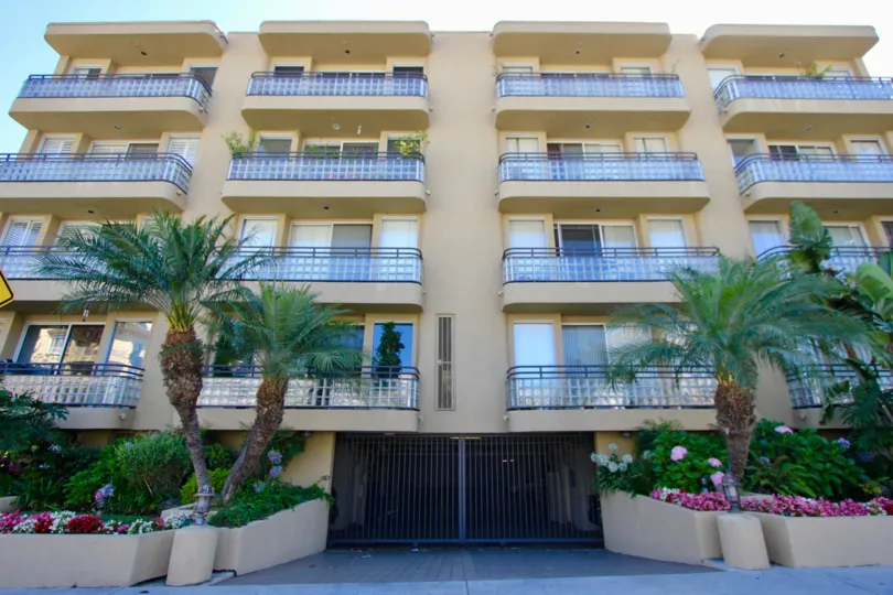 THE TREES TAKE PLACE IN THE FRONT OF THE APARTMENT. ITS VERY BEAUTIFUL SCENORY.