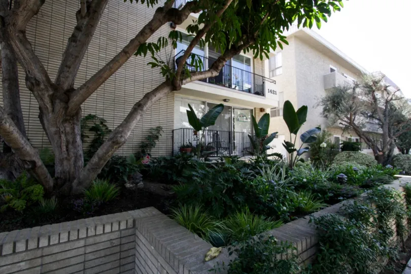 The landscaping seen around the Midvale Condos in Westwood