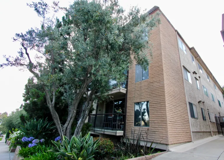 A tree in front of a balcony in the Park Almayo residential community