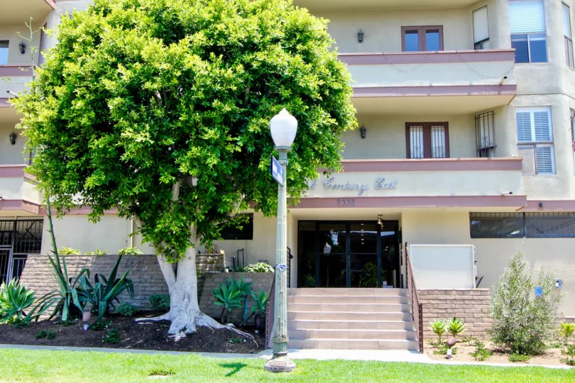 The building in park century east of westwood that entrance had one tree.