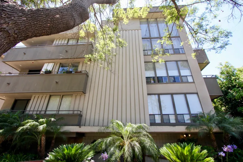 Front elevation view with shrubs and trees of Parkview North in Westwood, CA