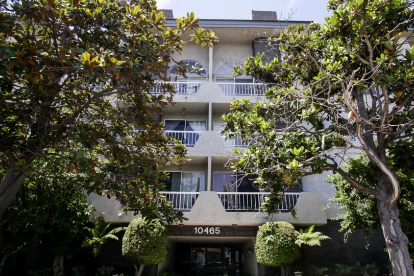 The landscaping at the Royal Regency in Westwood
