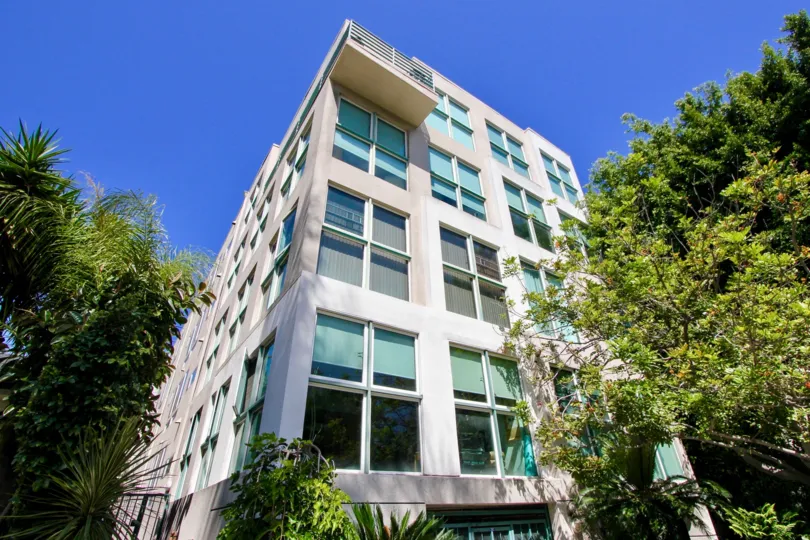 The white walls of Selby Place and her cool green surroundings, Westwood, California