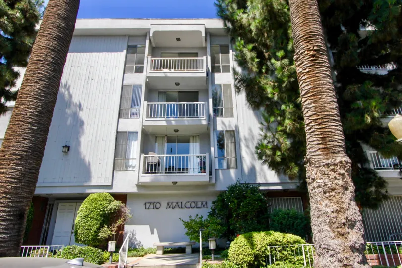A look at The Somerset House, a residential building with charm and tall palm trees out front.