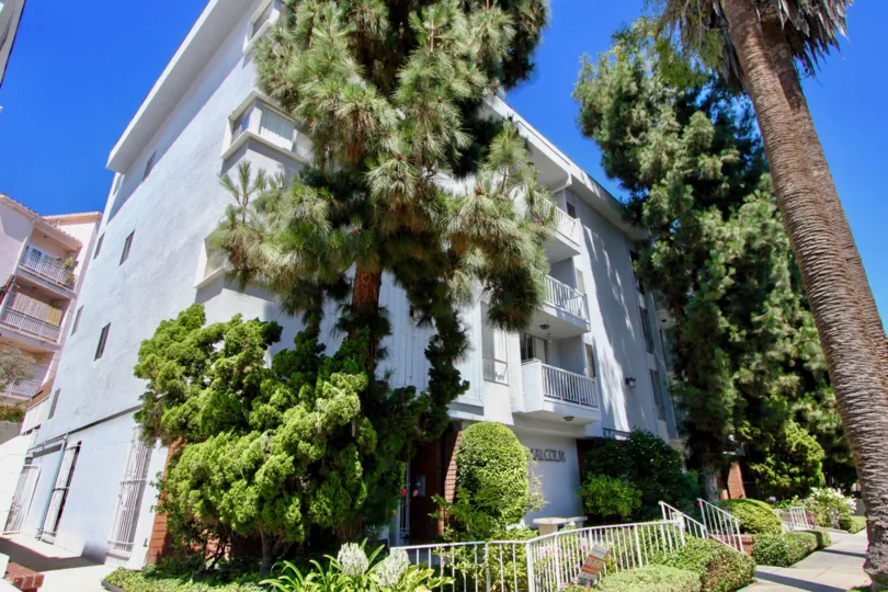 White walls of Somerset House and her green trees, Westwood, California