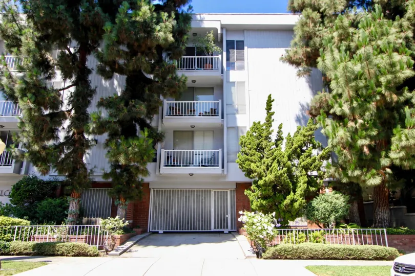 The white Somerset House building with multiple balconies and a tall pine tree in front