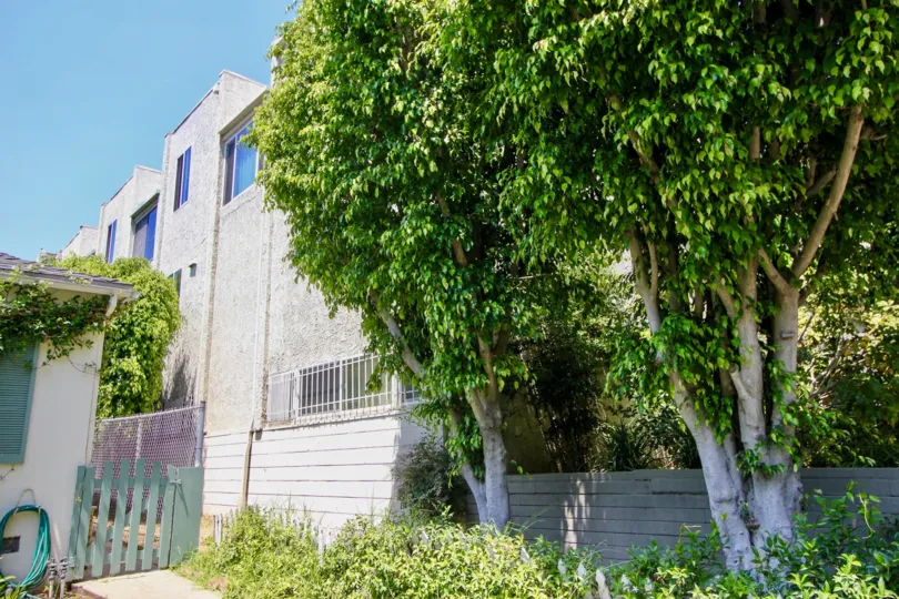 Great view from your window in the upscale Thayer Townhomes in Westwood, CA!