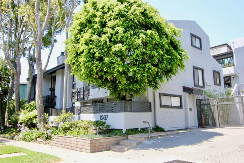 A large tree over the address to Villa Glen Townhomes