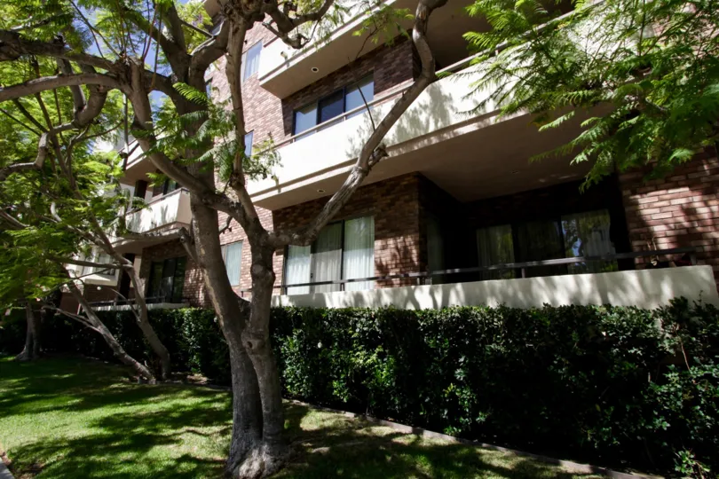 The landscaping around the Westwood Ambassador