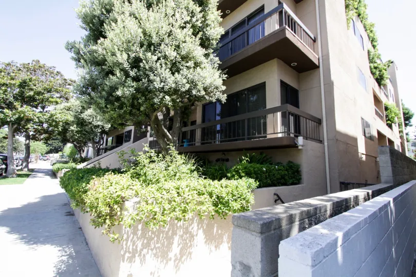 The landscaping around the Westwood Kelton