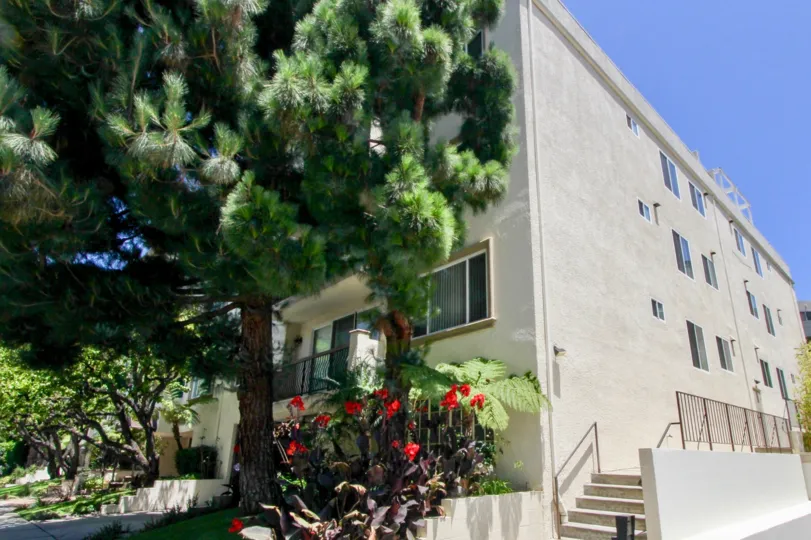 A sunny street view of Westwood Marquis in Westwood, California